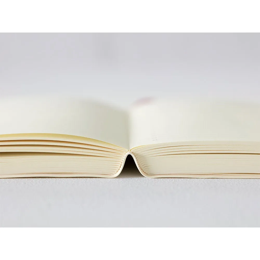 2024 A5 Midori ONE DAY Per PAGE Planner One Day Per Page "Lay Flat" Monthly Blocks & Timed Pages | 415 Pages