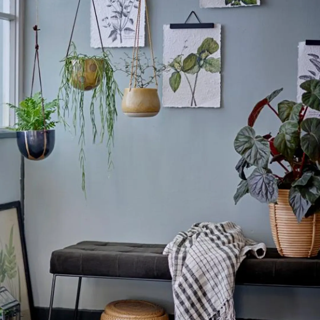 Botanical Prints on Rustic Paper 35cm