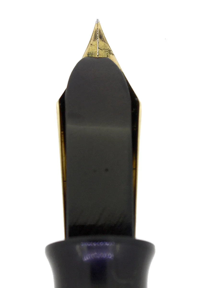 C1927 WATERMAN 58 BLACK CHASED HARD RUBBER FINE NIB FOUNTAIN PEN RESTORED