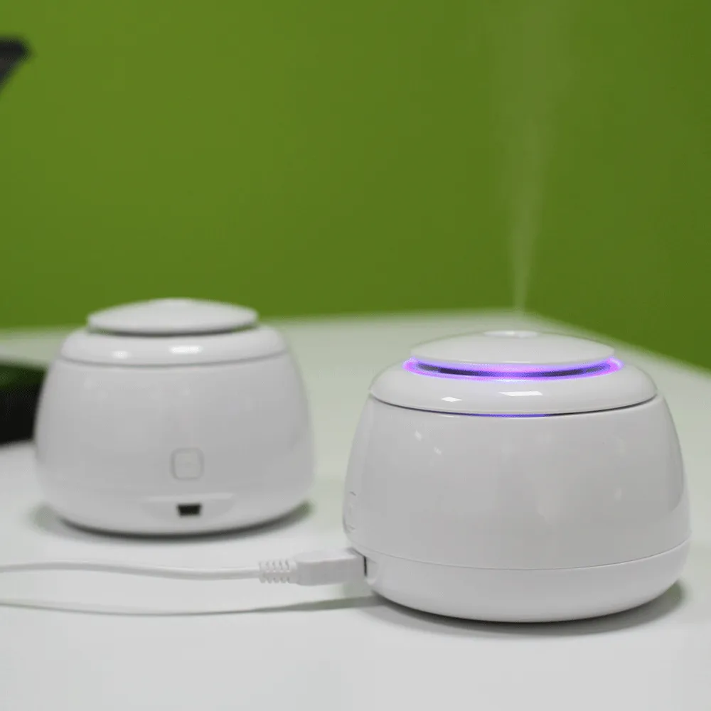 Mini Humidifier