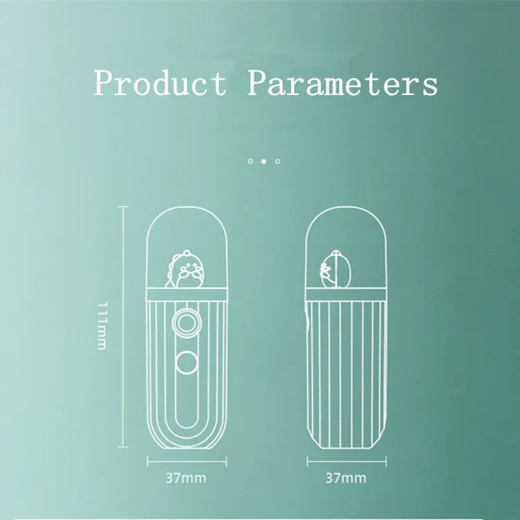 Portable facial mist spray