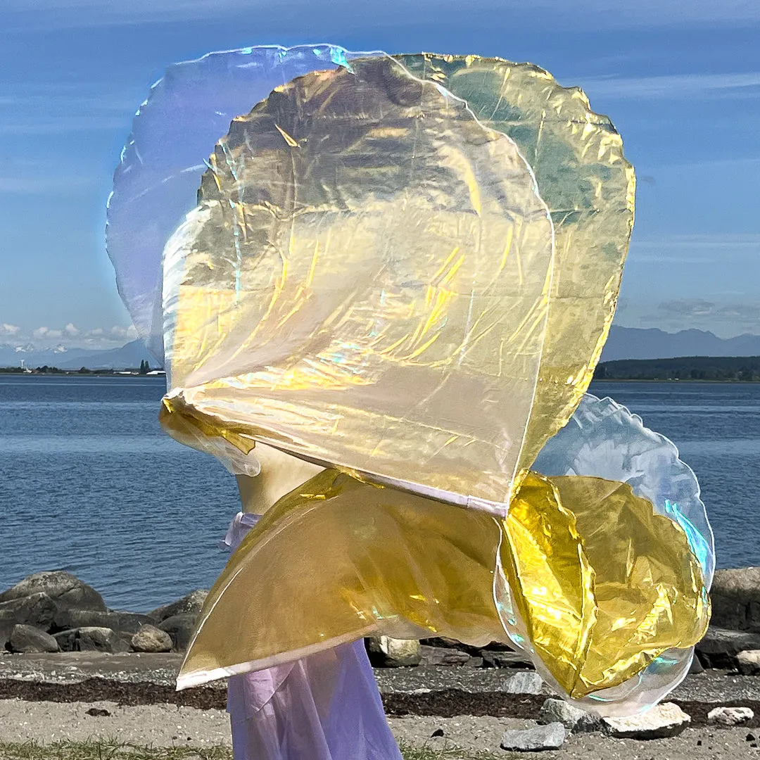 Shine Worship Flags