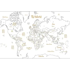 Wallpops Dry Erase Map 36" x 24" - White & Gold (Ì)
